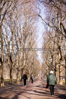 Old Woman on Walk in Park