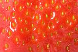 Ripe strawberry macro