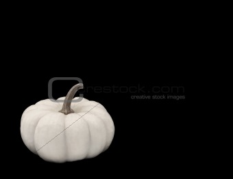 White Pumpkin on Black