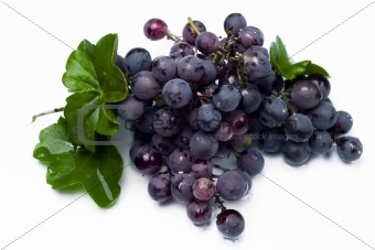 Fresh grape on white