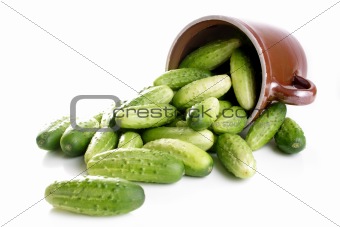 Scattered cucumbers