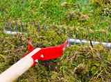 Moss Rake for Yard