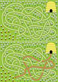 Bees maze