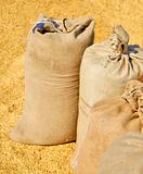 Sacks with wheat harvest and yellow hweat at background.