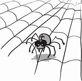 Simple monochrome vector image - spider in web