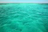 turquoise sea surface background