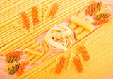 Different kinds of italian pasta 
