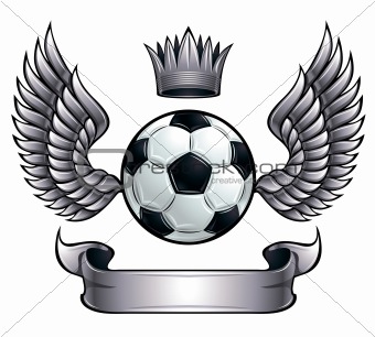 Winged soccer ball emblem.