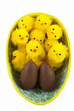 Easter chickens in easter egg
