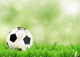  a soccer football on a fresh green background 