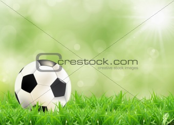   a soccer football on a fresh green background 