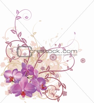 Cool orchid floral background
