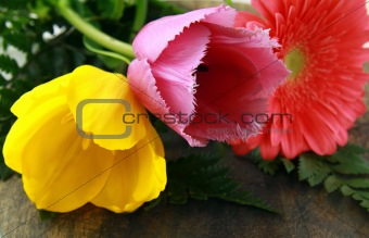 pink yellow purple tulip on a wooden board