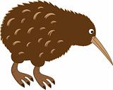 Kiwi Bird