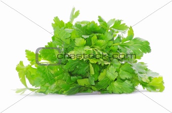 green parsley 