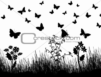 butterflies, flowers and grass background