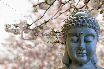 Zen Buddha Meditating Under Cherry Blossom Trees
