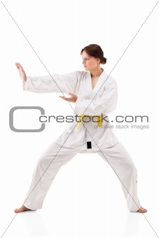young sexy women in a karate pose