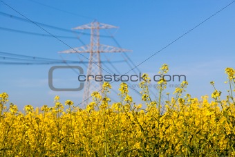 Electricity Pilon in the Countryside on Spring