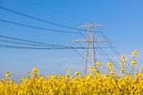 Electricity Pilon in the Countryside on Spring