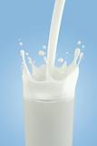 Splashing milk in a glass on a light blue background