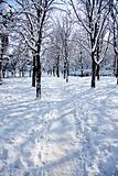 Winter park