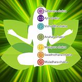 Yoga lotus template. EPS 8