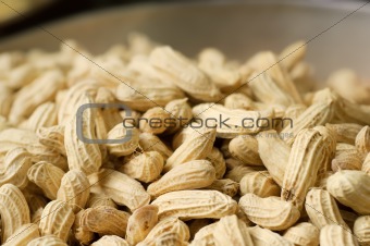Ripe peanut