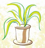 Plant in a flowerpot 