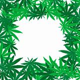 Marijuana leaves frame