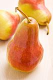 Ripe pear in autumn colors