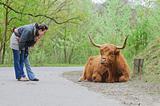 Mom and daughter for a walk watching Highland Bull