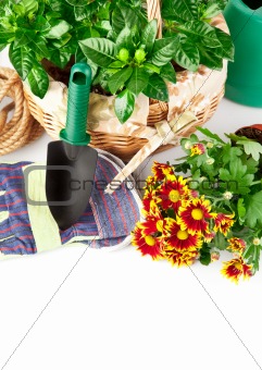 garden equipment with flowers and green plants