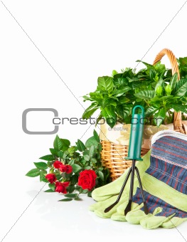 garden equipment with flowers and green plants
