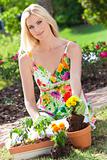 Beautiful Blond Woman Gardening Planting Flowers