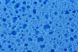 Blue Sponge closeup