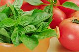 Basil with Tomatoes