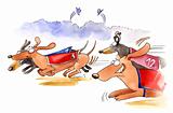 dachshund dogs race