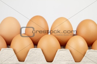 Eggs  in box  on the white  background