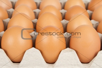 Background eggs