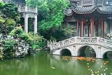 Chinese traditional style garden