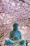 Sitting Full Body Buddha with Cherry Blossom Trees