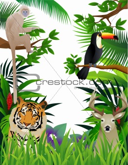 Animal in the jungle