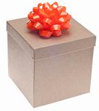 Closed Brown Paper Recycled Gift Box with Bow