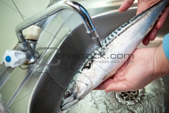 Washing of fish in flowing water