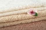Peach Blossom on Towels