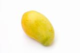 Yellow mango isolated on white background.