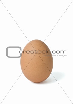 Single brown egg