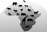 Animal Africa