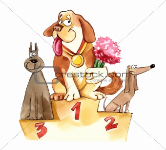 dogs on exhibition podium